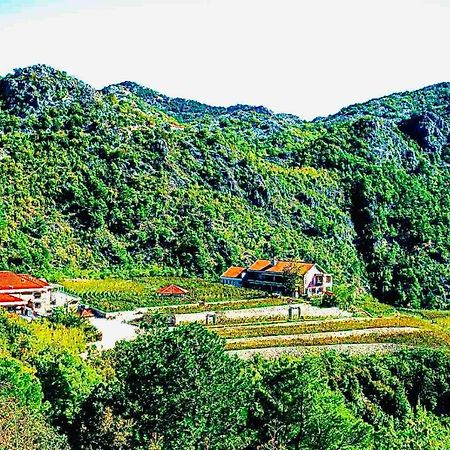Eco Winery Lipovac Apartments เซทินเจ ภายนอก รูปภาพ