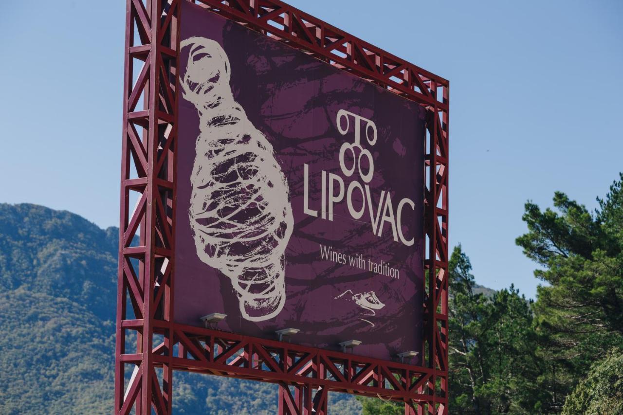 Eco Winery Lipovac Apartments เซทินเจ ภายนอก รูปภาพ