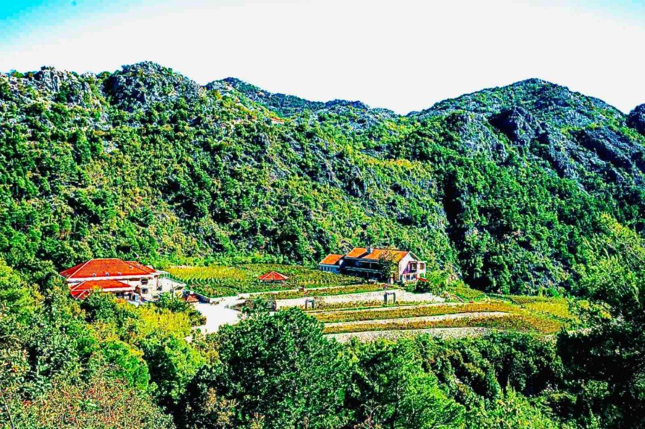 Eco Winery Lipovac Apartments เซทินเจ ภายนอก รูปภาพ